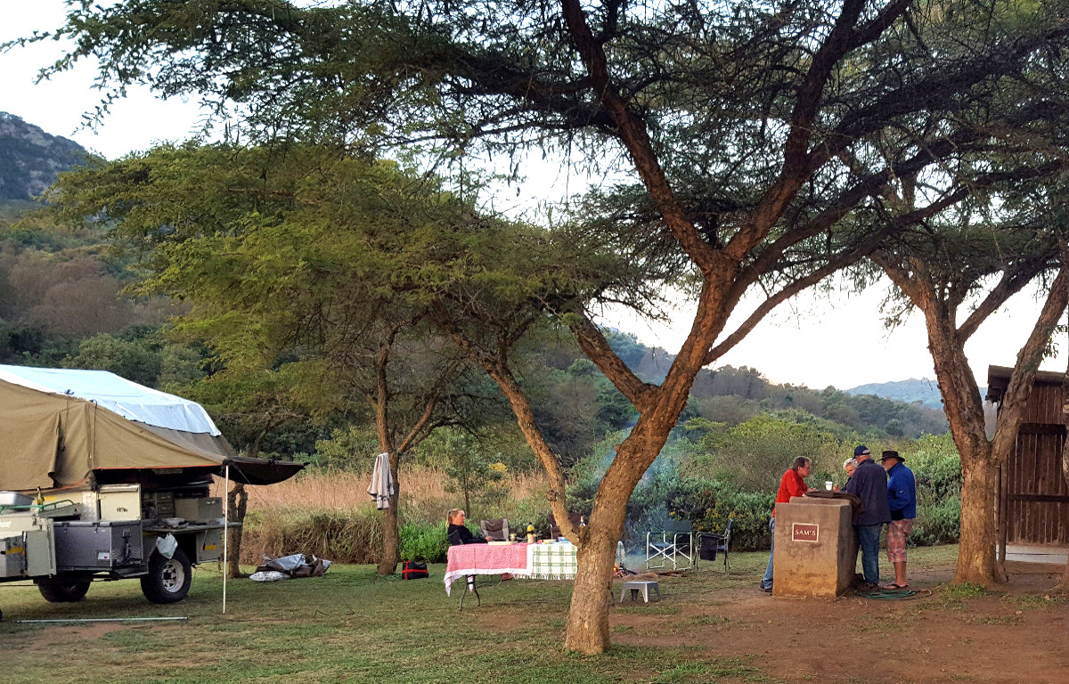 camp gathered under acacias